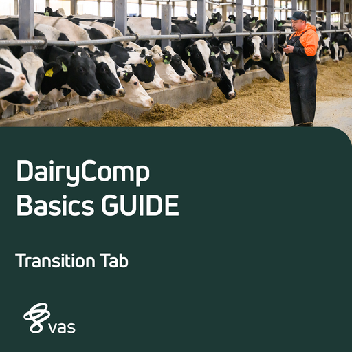 DairyComp GUIDE - Transition Tab