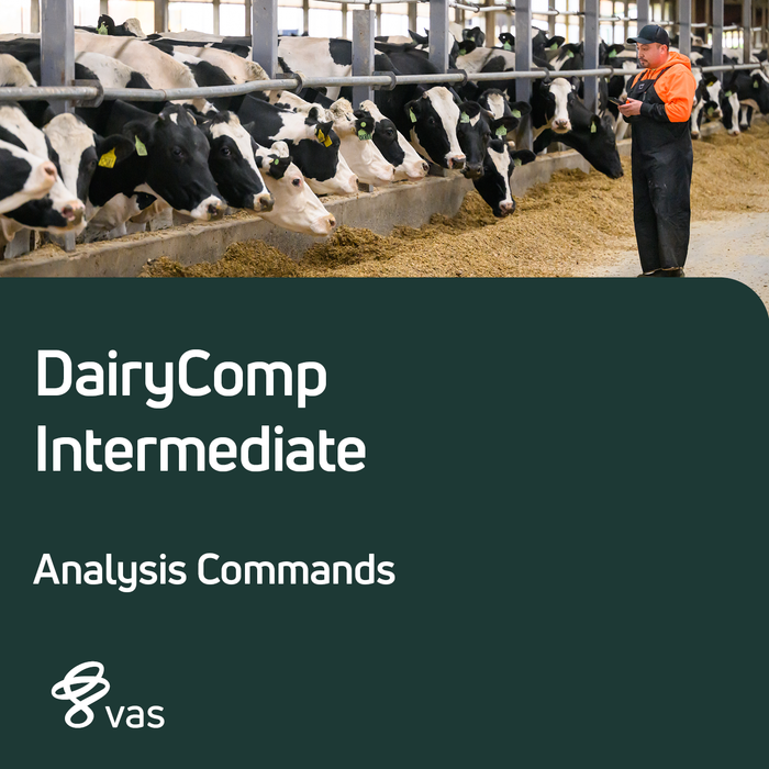 DairyComp Intermediate - Analysis Commands