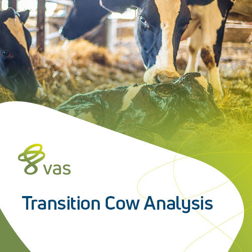 Transition Cow Analysis Live Training
