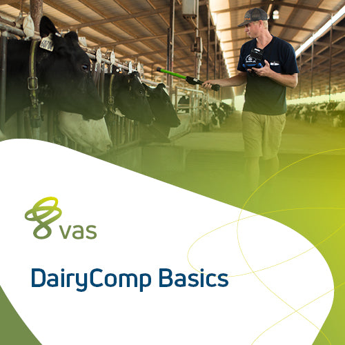 DairyComp Foundations Live Training